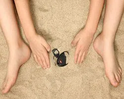 Downtown TN Locksmith Store, Downtown, TN 901-424-4221 Downtown TN Locksmith Store, Downtown, TN 901-424-4221 - res-ls-01